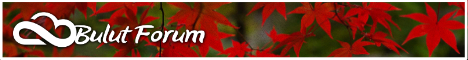 bulutforum_banner_468x60_v22fd49fe021cc39b5.jpg