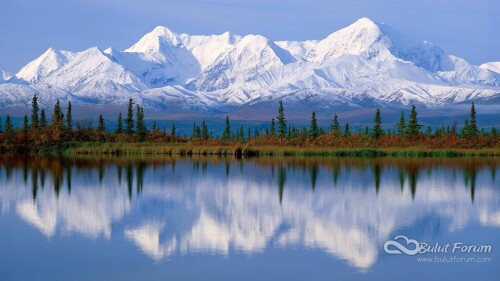 Desktop-HD-Nature-Wallpapers-Images-Download.jpg