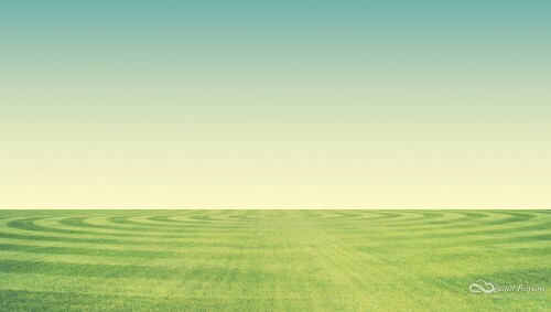 divotomezove-background-5030087.jpg