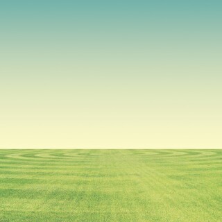 divotomezove-background-5030087