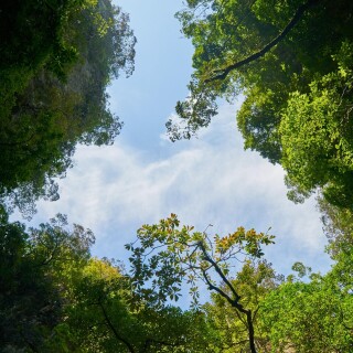engin_akyurt-background-2076839_1920